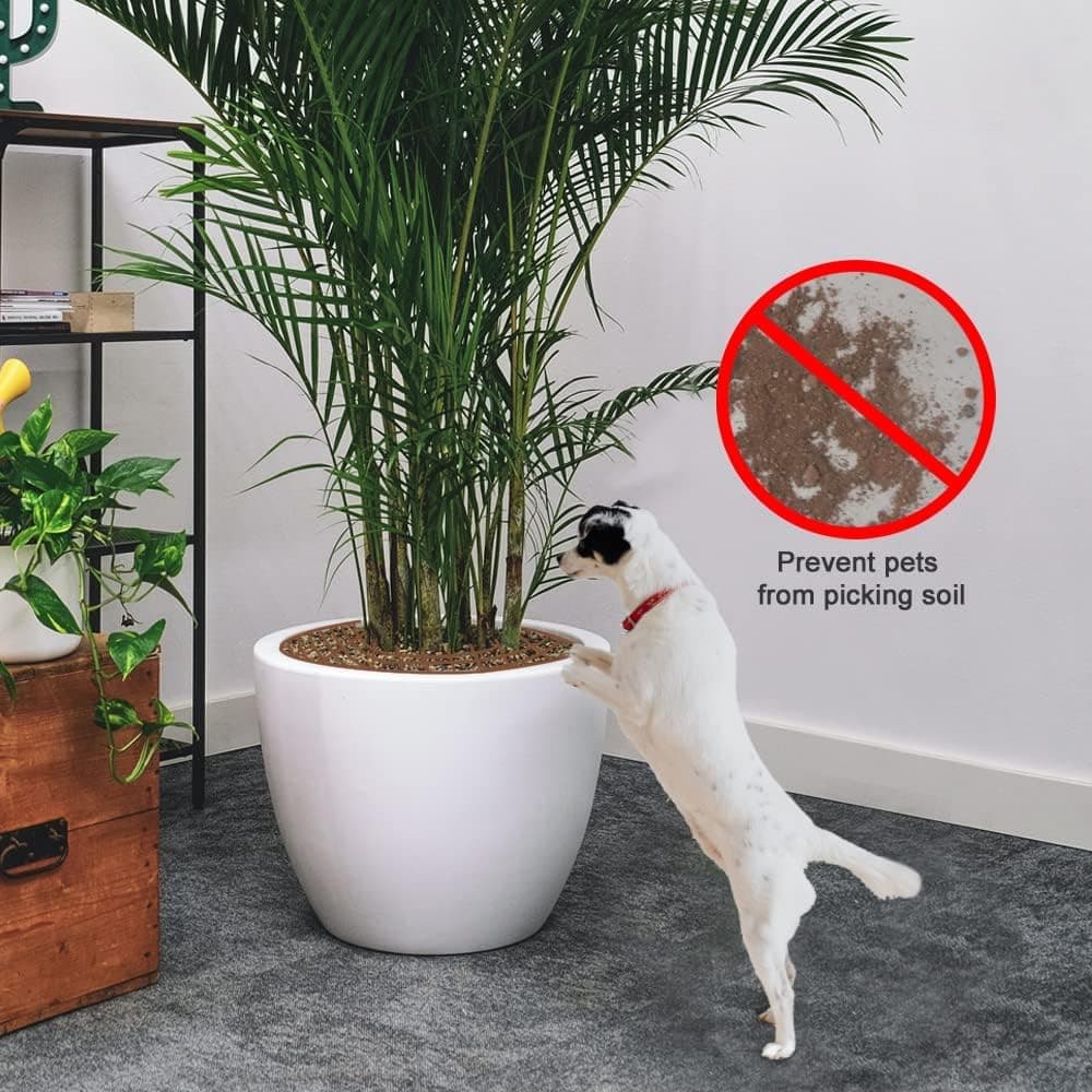 2-pack Waterproof Cuttable Pot Covers, Prevents Pets from Digging, Compatible with Indoor and Outdoor Gardens, Black, S