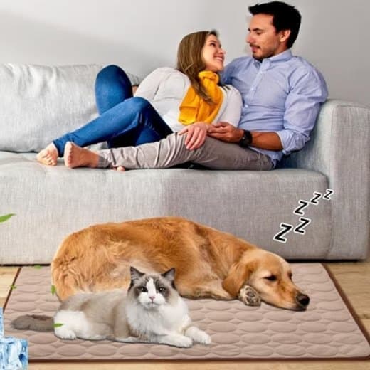 Cooling Mat for Dogs and Cats, Light Brown, 100×70cm, Breathable, Multiple Colors, Compatible with All Breeds