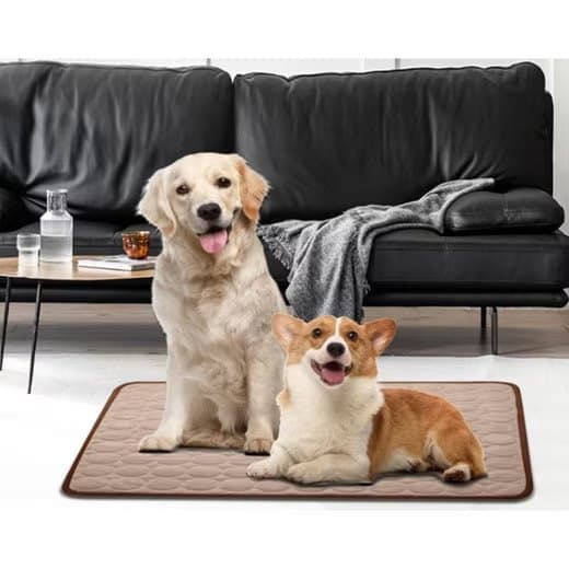 Cooling Mat for Dogs and Cats, Breathable, Multiple Colors, Compatible with All Breeds, 62×50cm
