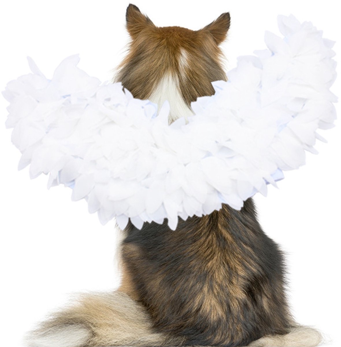 Dog costume L – Realistic wings, festive accessory