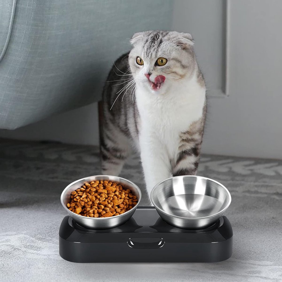 Pet Water & Food Set - 2 Pieces - BPA-Free - Dog Food Bowl - Cat Food Bowl - With Stand - Cat Food Bowls - Drinking Bowl - Double Food and Drinking Bowl - 2 in 1 Pet Bowl - Dog and Cat - Bowls Are Dishwasher Safe