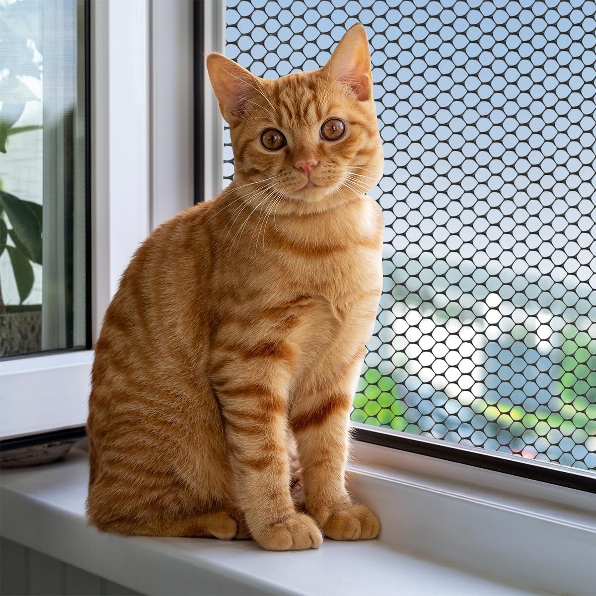 Plastic Fencing Net - 40 cm * 3 m - Chicken Wire - Cat Net - Dog Fencing - Bird Net - Pet Trap Net - Garden Mesh - Plastic Mesh - Plant Net - with 20 fixed straps - for dogs, cats, chickens and other small animals - Black