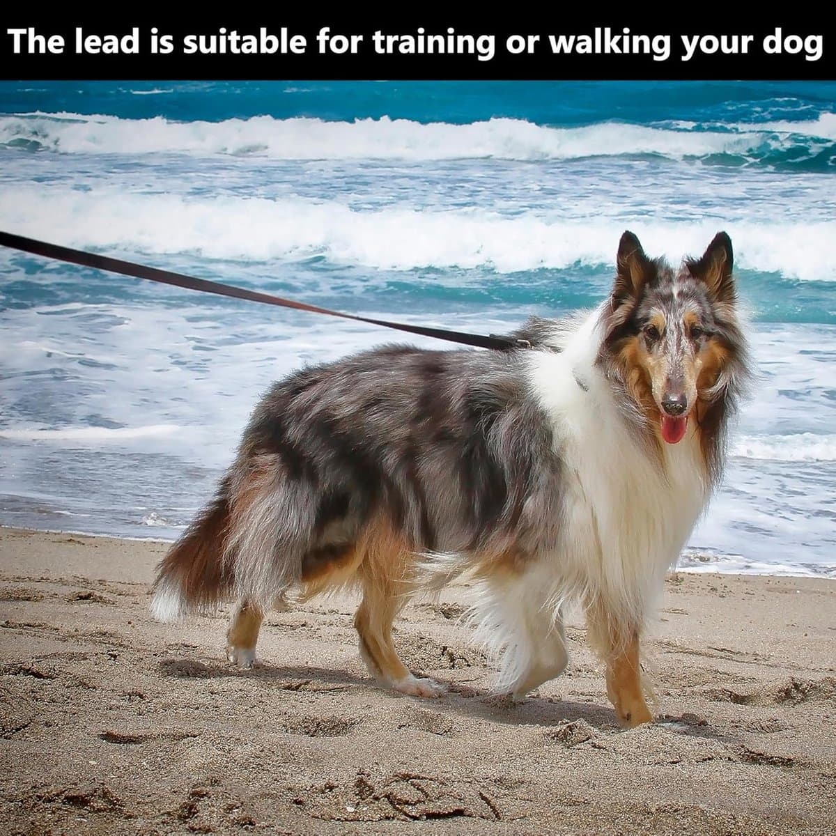 Dog Leash 20m Waterproof Training Leash with Wrist Strap and 360° Carabiner for Medium and Large Dogs Black