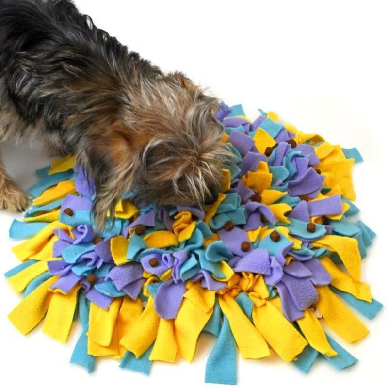 U7174 Training Mat Multicolored Indoor Outdoor Dog