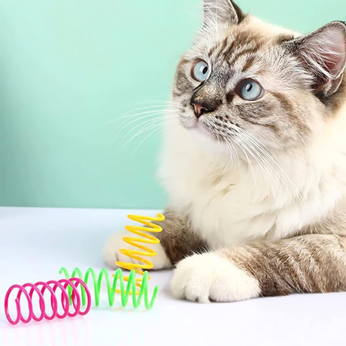 Cat Toys 24 Piece Colorful Feather Toys for Cats Interactive Pet Novelty Toys