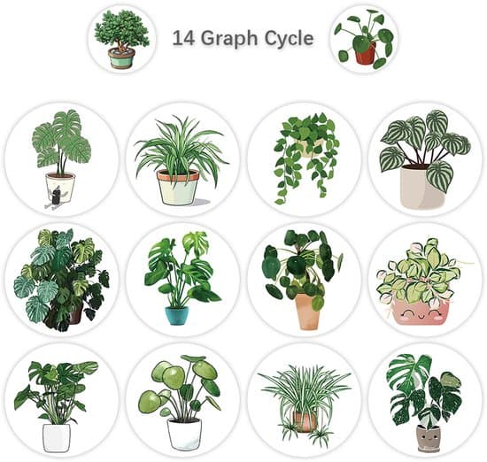 Stickers Journaling Stickers 20mm Green Plant 14 Sheets