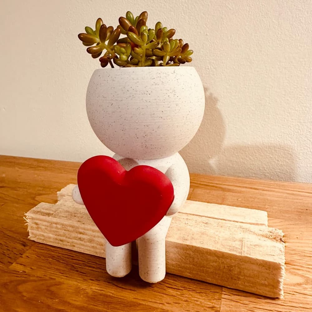 Home Decor Succulent Air Planter Stand,Air Plant holder, Air Plant Lover Gift Desk Decor
