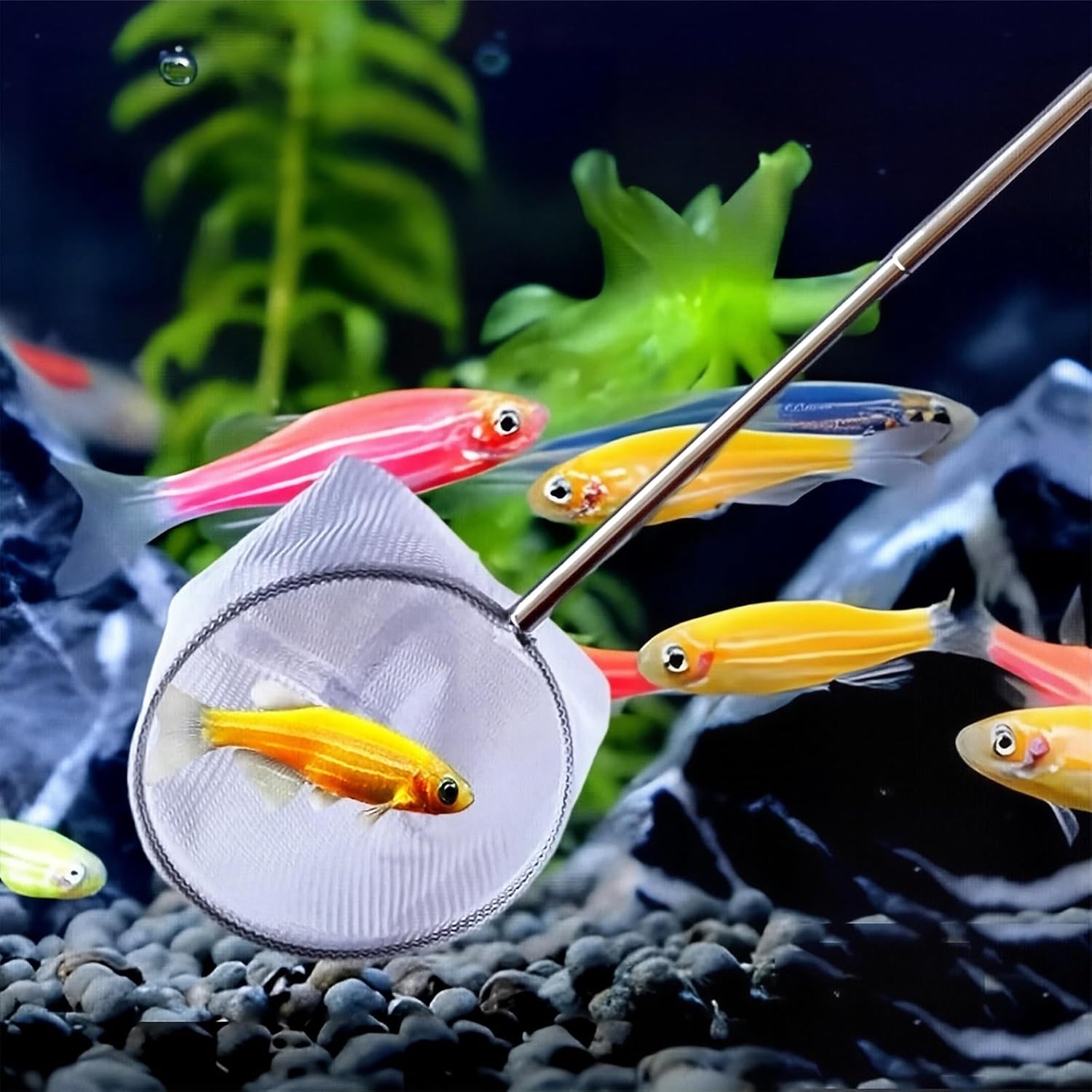 2-Pack Aquarium Fish Net - 3.3In & 2.6in Fishes Tank Shrimp Net Debris Cleaning Tools - Fast-Dry Mesh Scoop with Extendable Handle - Small Fish Net for Fish Tank for Shrimp & Bettas