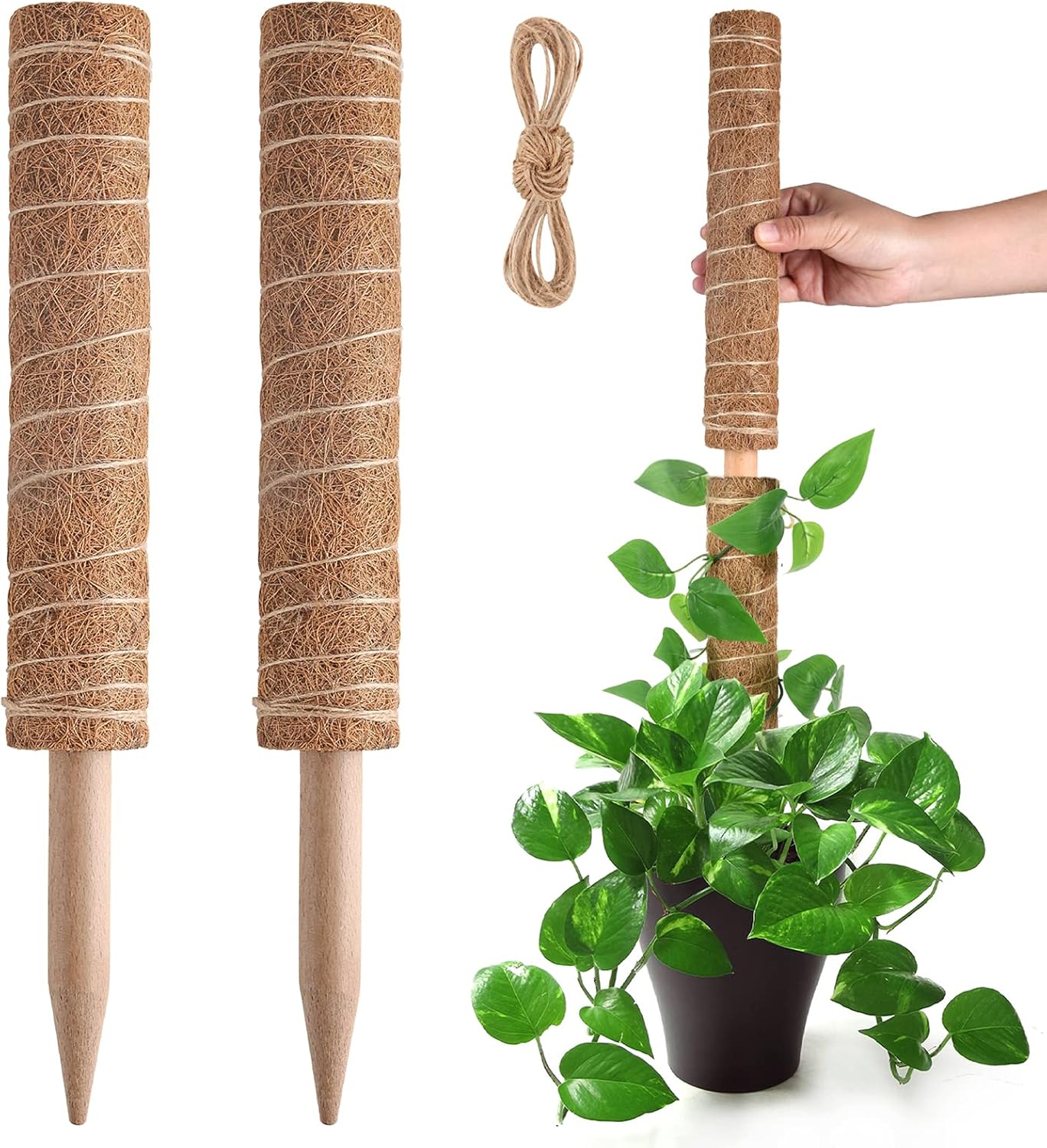 Moss Pole for Plants Monstera, Extendable Plant Sticks Support, Plant Stakes for Indoor Potted Plant, 15.7'' Coco Coir Pole Plant Trellis for Sphagnum, Pothos and Other Climbing Plants(2 PCS)
