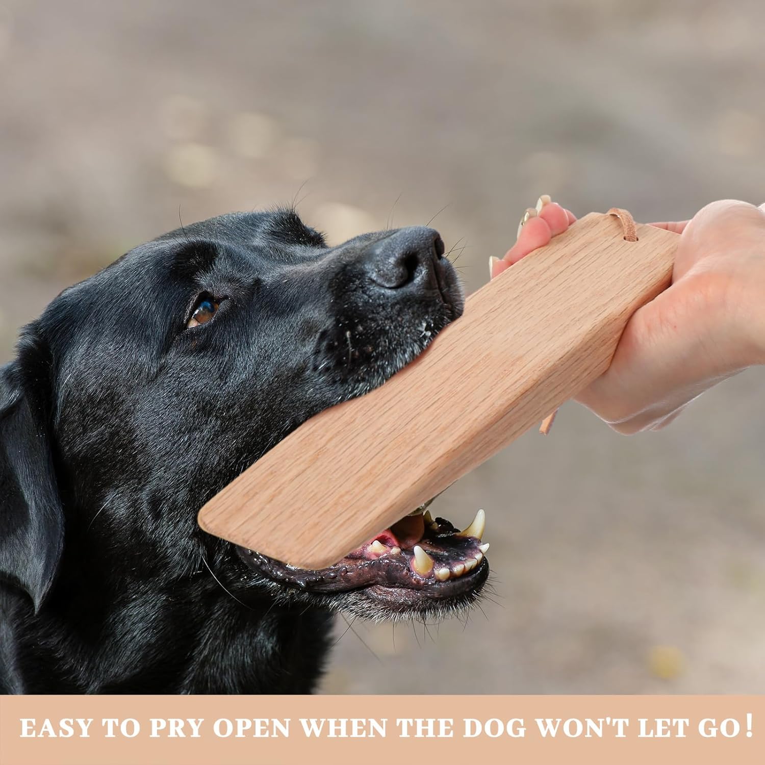 2 Pcs Break Stick Dog Fight 10.04'' x 1.77'' x 0.79'' Dog Stick Toy with Ropes for Training German Shepherd Most Dogs