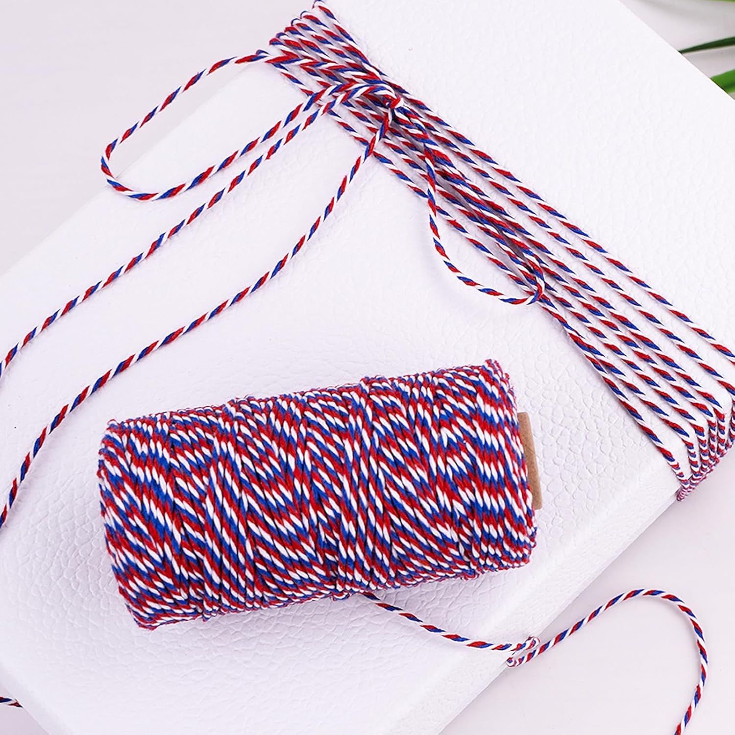 Cotton Twine Red White and Blue Twine String 2mm Thick 328 Feet Bakers Cotton String for Patriotic Day Gift Wrapping DIY Crafts and Floral Bouquet