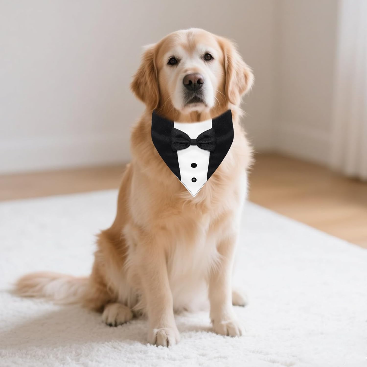 Dog Tuxedo, Formal Dog Wedding Marriage Bandana Bow Tie Collar Adjustable Cat Costume Pet Party Tux for Small, Medium and Large Dogs Engagement Birthday