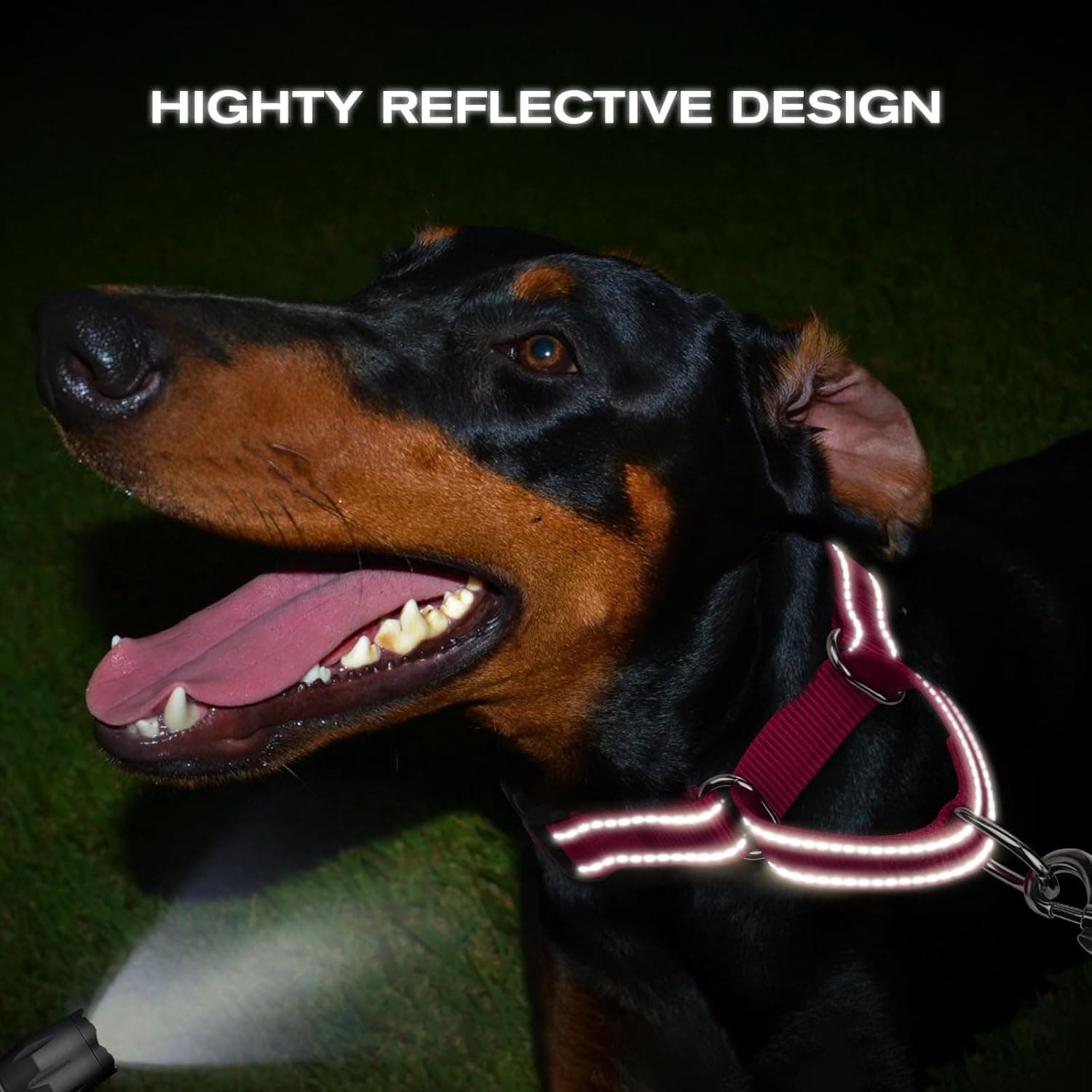 Martingale Collar for Dogs, Reflective Heavy Duty Safety, Quick Release Buckle, Adjustable Nylon Collars Medium Dogs Walking Training, Hotpink,M Hotpink M