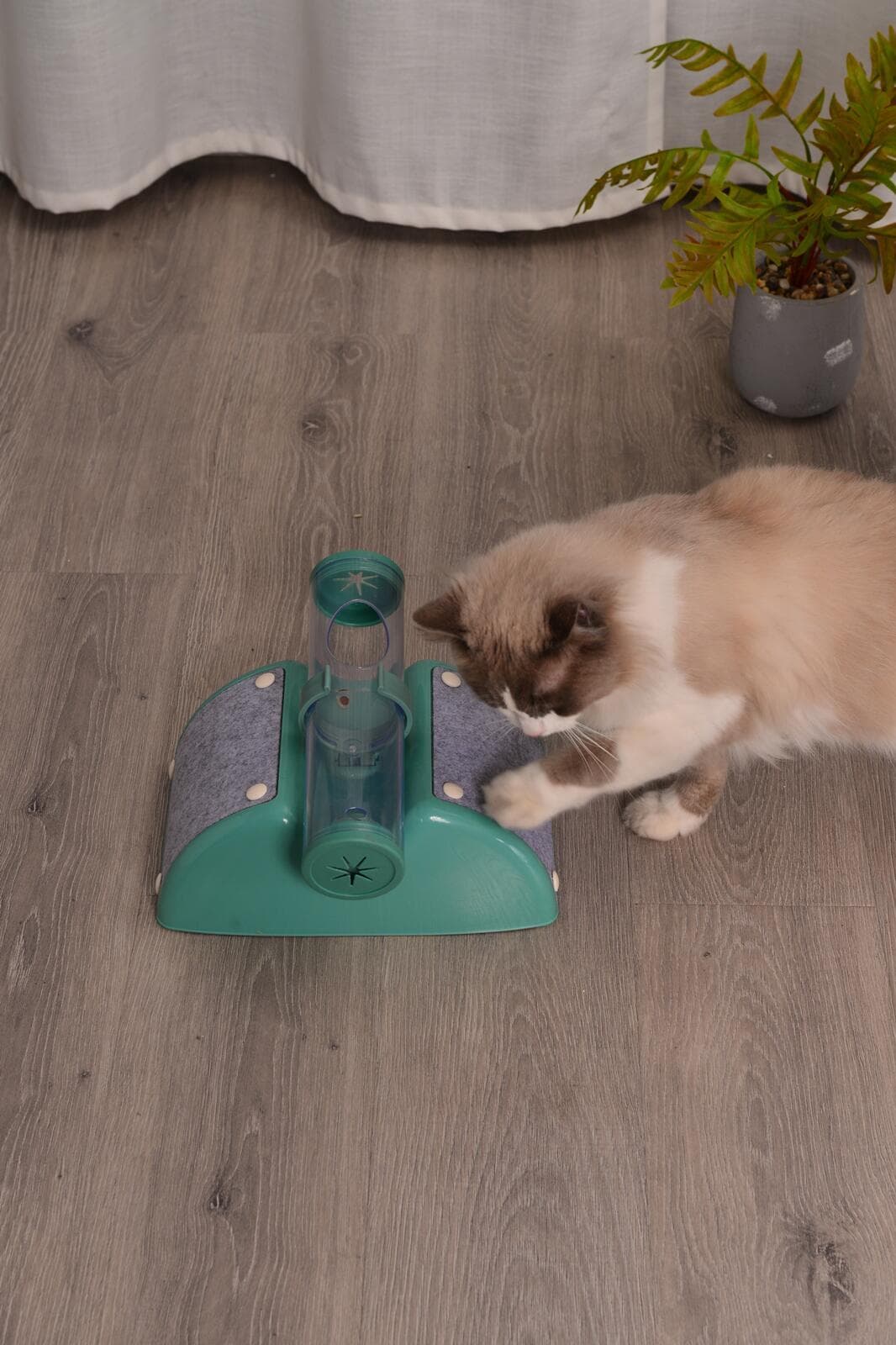 Cat Toy Set Interactive Peek Hunting Toy 28cm x 26cm x 18cm Green