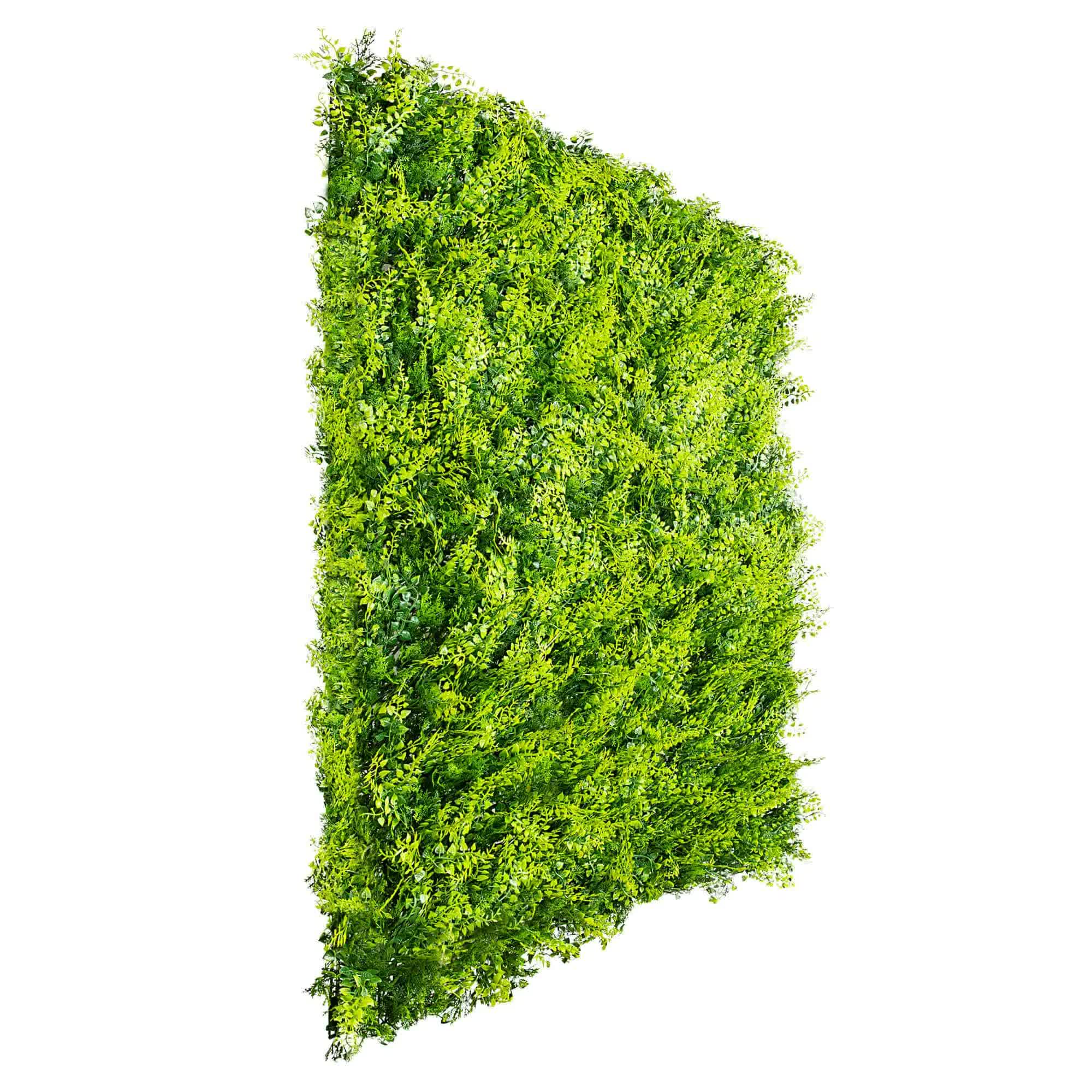 Mediterranean Fern Vertical Garden / Green Wall UV Resistant SAMPLE