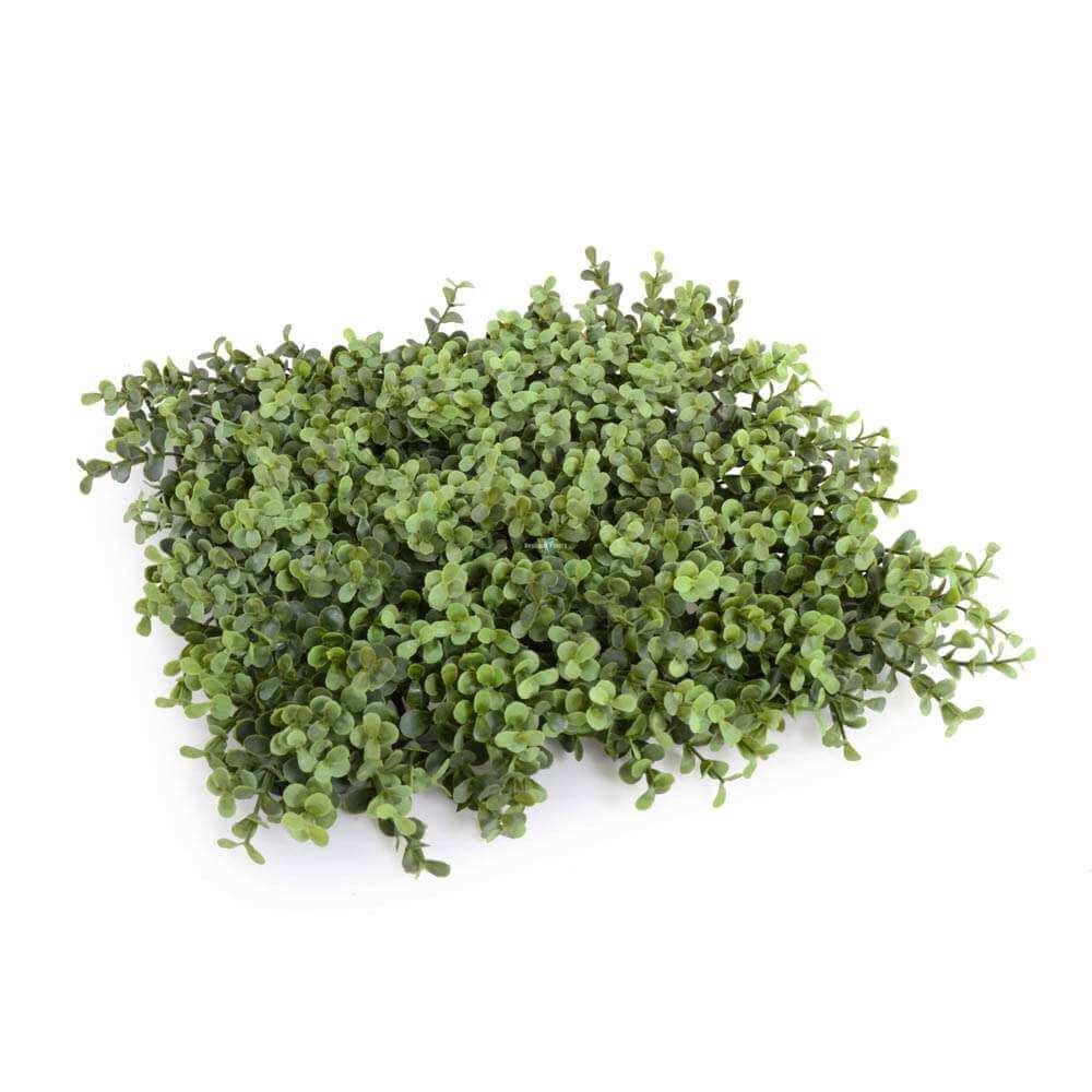Deluxe Portable Buxus Hedge UV Resistant 100cm Long x 50cm High