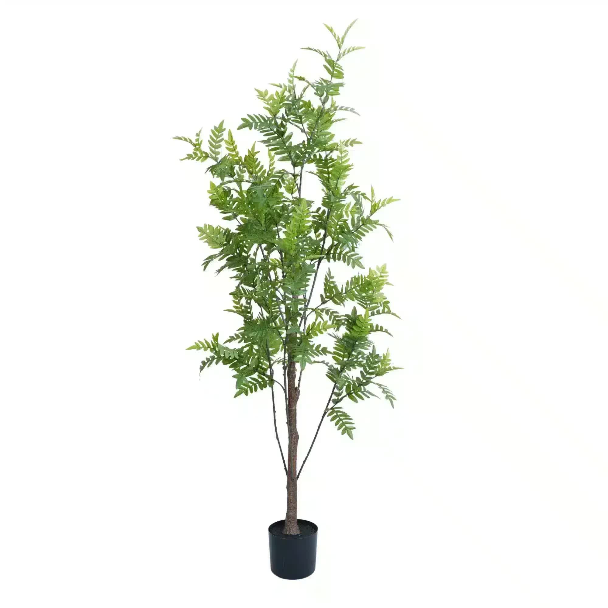 Premium Real Touch Artificial Bracken Palm Tree 180cm