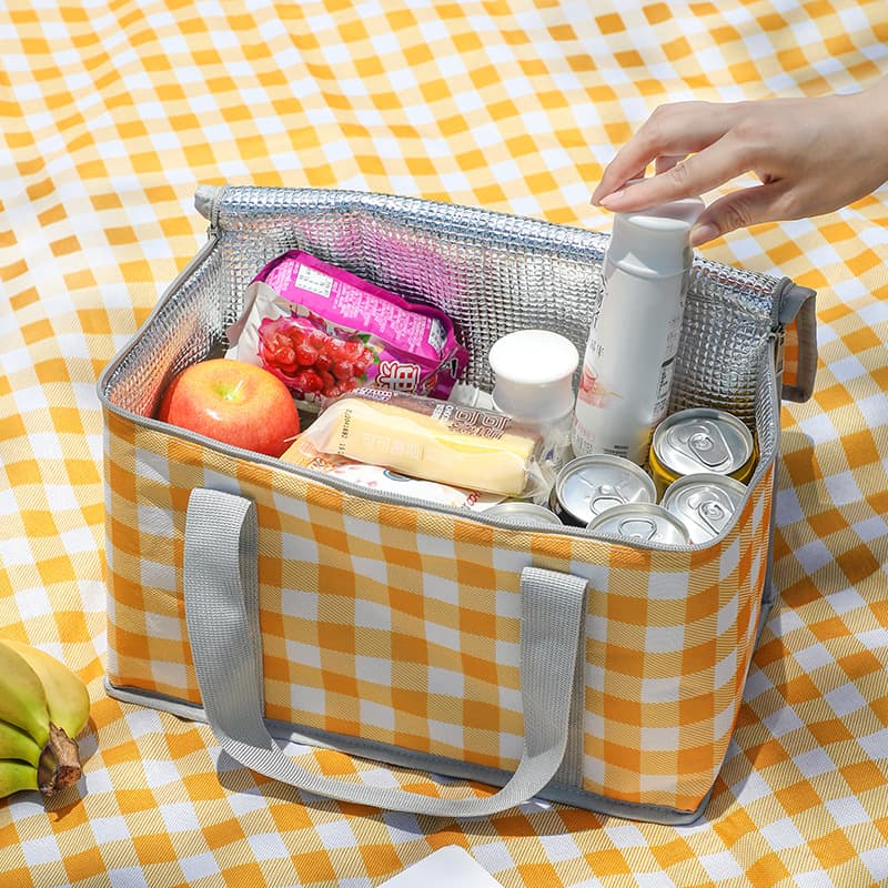 Insulated Picnic Lunch Bag Thermal Storage 2 Piece Checkered Design Red