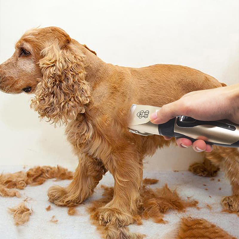Professional Pet Grooming Hair Clipper Kit Rechargeable Low Noise Ceramic Blades 5-Speed Adjustment Gray