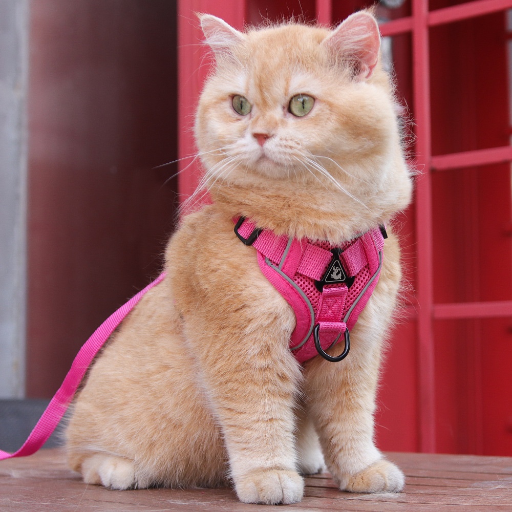 Rose Red Reflective Mesh Dog Harness and Leash Set - Adjustable No-Pull Vest - XL