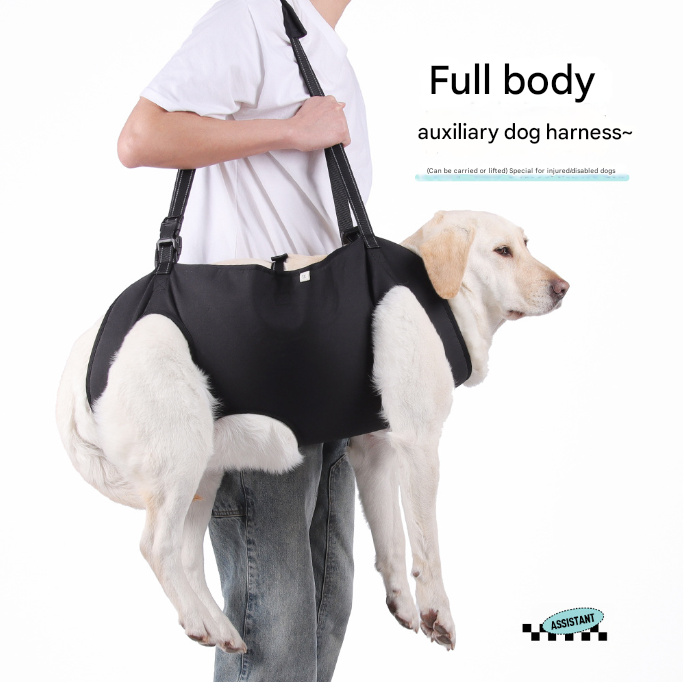 Green Pet Support Harness for Senior and Disabled Dogs - Adjustable Chest and Back Support Leash(Size M)