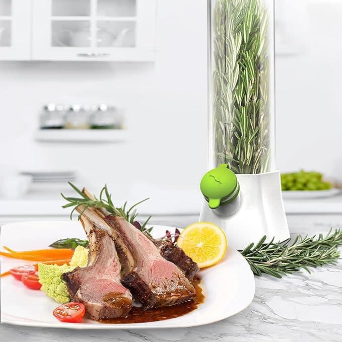 Fresh Herb Keeper Pod Extends Freshness Easy to Use Green