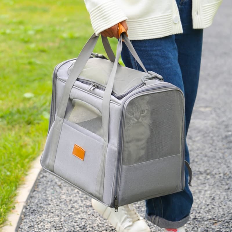 Soft-Sided Pet Carrier Foldable for Travel Fits Cats and Small Dogs Under 6kg Removable Plush Bed Black