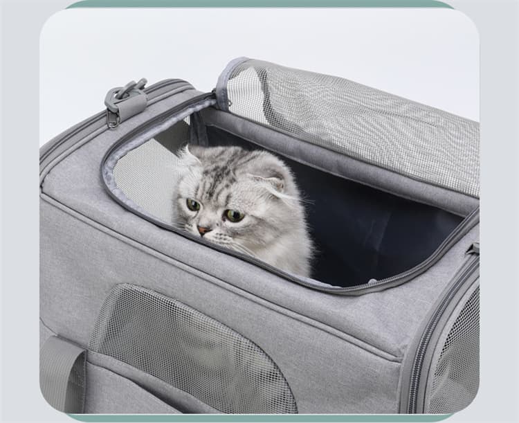 Soft-Sided Pet Carrier Foldable for Travel Fits Cats and Small Dogs Under 6kg Removable Plush Bed Black