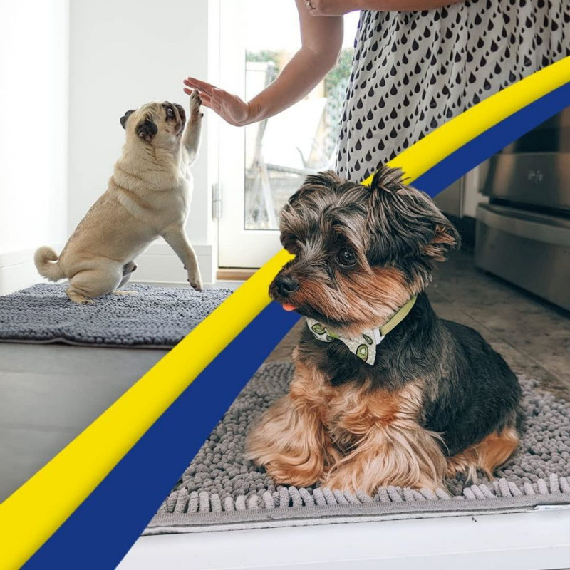 Light grey 50×80 cm Extra-Thick Chenille Floor Mat for Bathrooms and Pet Use – High-Density Absorbent, Non-Slip, Machine-Washable Rug for Dogs and Humans