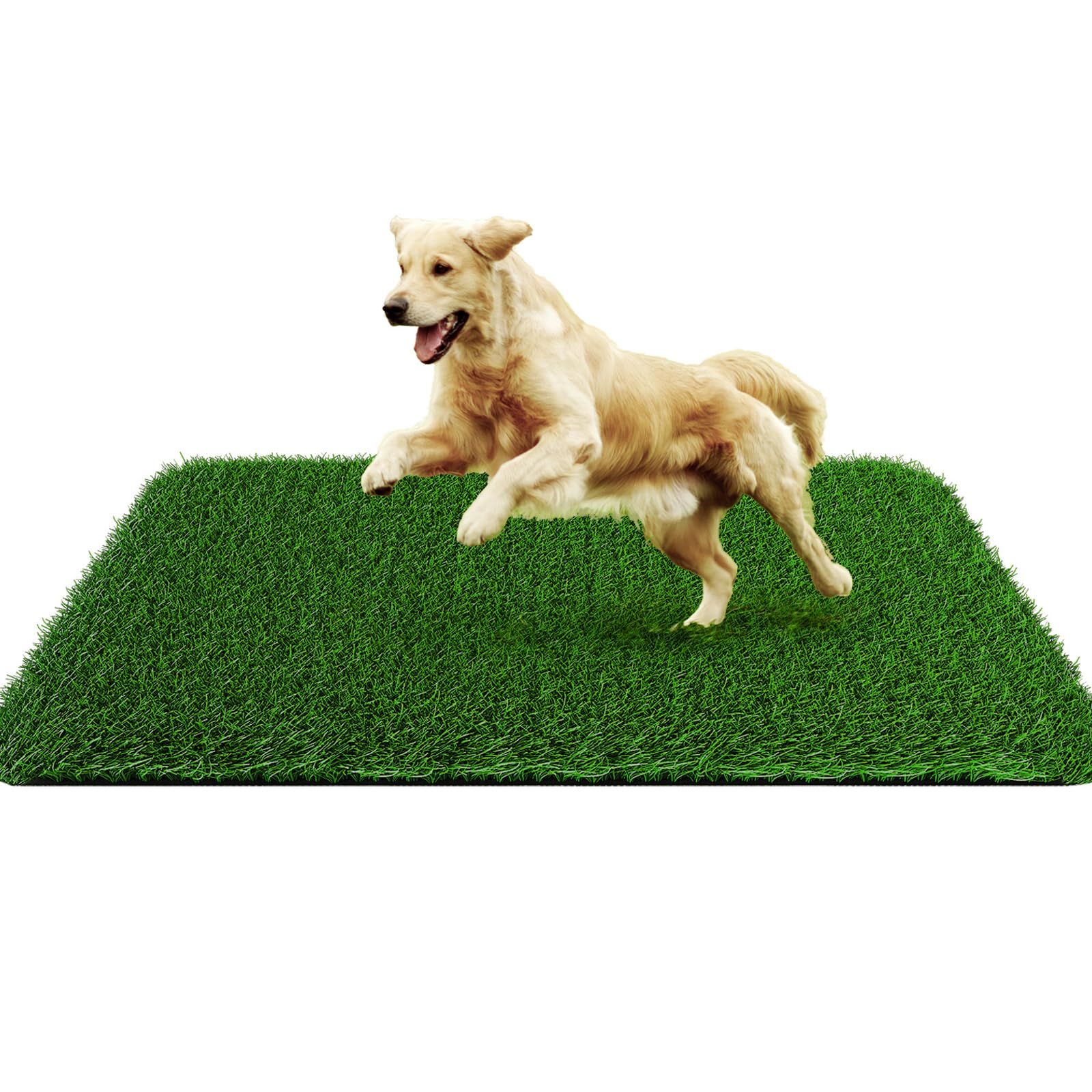 Grass Pad for Dogs 35cmx35cm, Strong Absorbency Soft and Real Grass for Pets Potty Training, Easy to Clean Fake Grass for Dog Indoor Outdoor Use (1 Pcs)