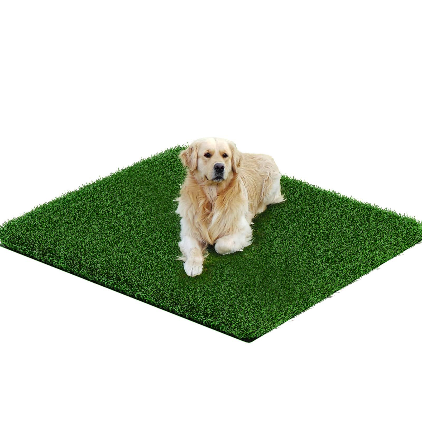 Grass Pad for Dogs 35cmx35cm, Strong Absorbency Soft and Real Grass for Pets Potty Training, Easy to Clean Fake Grass for Dog Indoor Outdoor Use (1 Pcs)