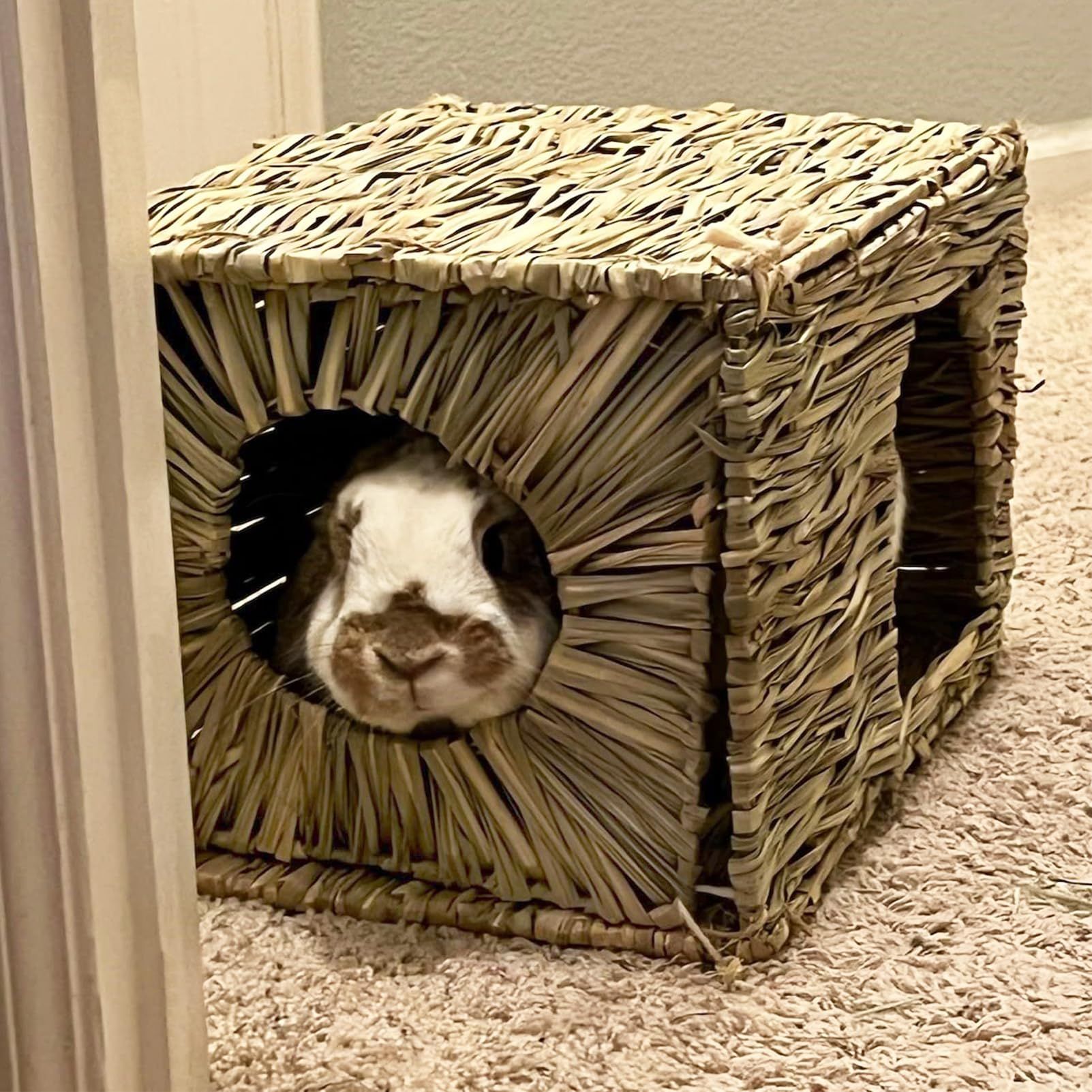 Rabbit Grass House - Natural Hand Woven Seagrass Play Hay Bed, Hideaway Hut Toy for Bunny Hamster Guinea Pig Chinchilla Ferret