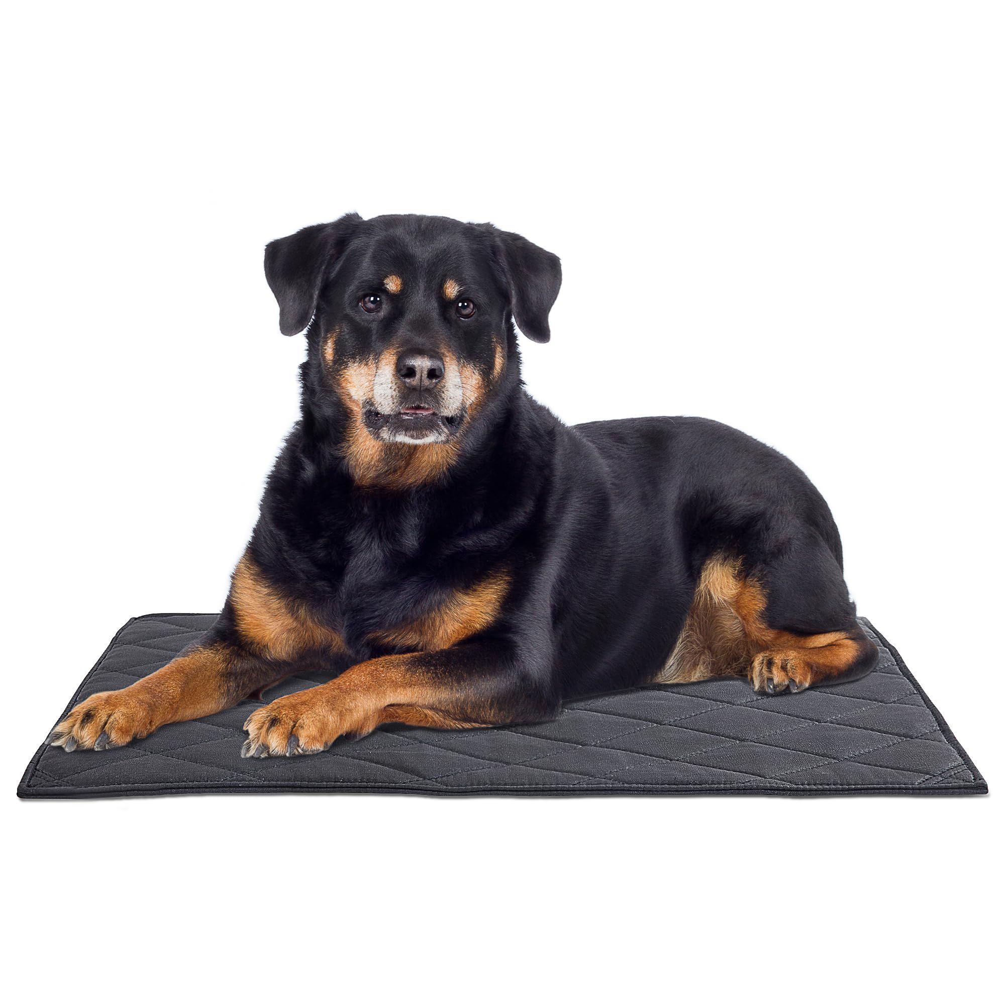 Chew Proof Dog Crate Bed Pad - Indestructible & Water Resistant for Aggressive Chewers, Durable Design for Dog Cage Black 43*58cm