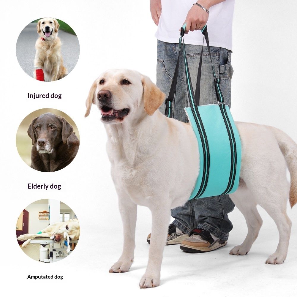 Portable Hip Support Harness Assist Lift Dogs Rear for Canine Aid - Pet Lift Harness for Small, Medium & Large Dogs Hind Leg Support Rehabilitation(Turquoise, S)