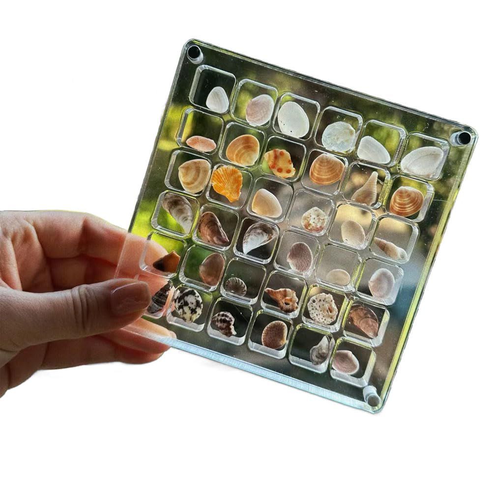 Acrylic Magnetic Seashell Display Box,Small Transparent Organizer Holder, Clear Storage Box for Bead, Nail, Jewelry (36 Grids)