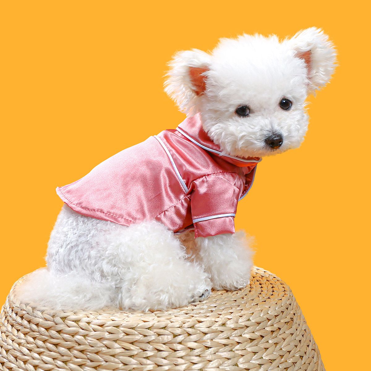 Dog Pajamas Summer Dog Clothes Pet T Shirts Cat Costumes Dog Clothes for Small Dogs Boy Girl Dog Outfits Holiday Clothing （M）