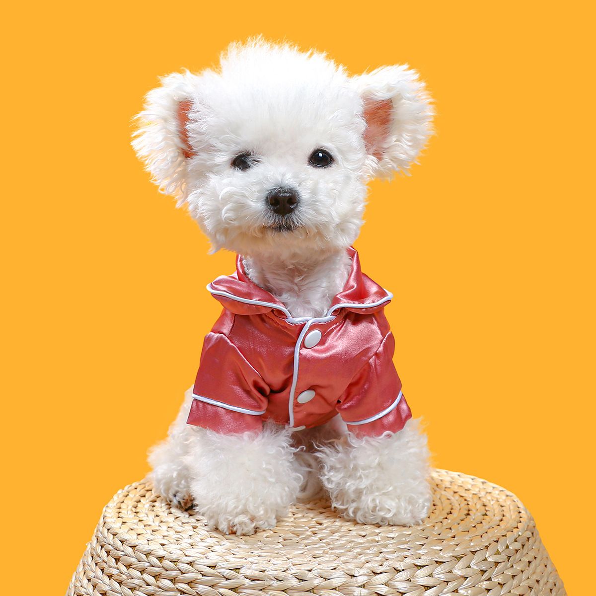 Dog Pajamas Summer Dog Clothes Pet T Shirts Cat Costumes Dog Clothes for Small Dogs Boy Girl Dog Outfits Holiday Clothing （M）