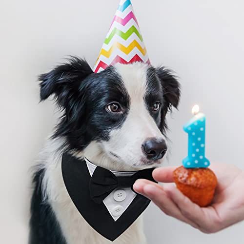 Formal Dog Wedding Bandana Dog Collar with Bow Tie Dog Birthday Costume Adjustable Pet Party Dog Wedding Attire， S