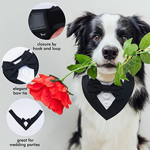 Formal Dog Wedding Bandana Dog Collar with Bow Tie Dog Birthday Costume Adjustable Pet Party Dog Wedding Attire， S