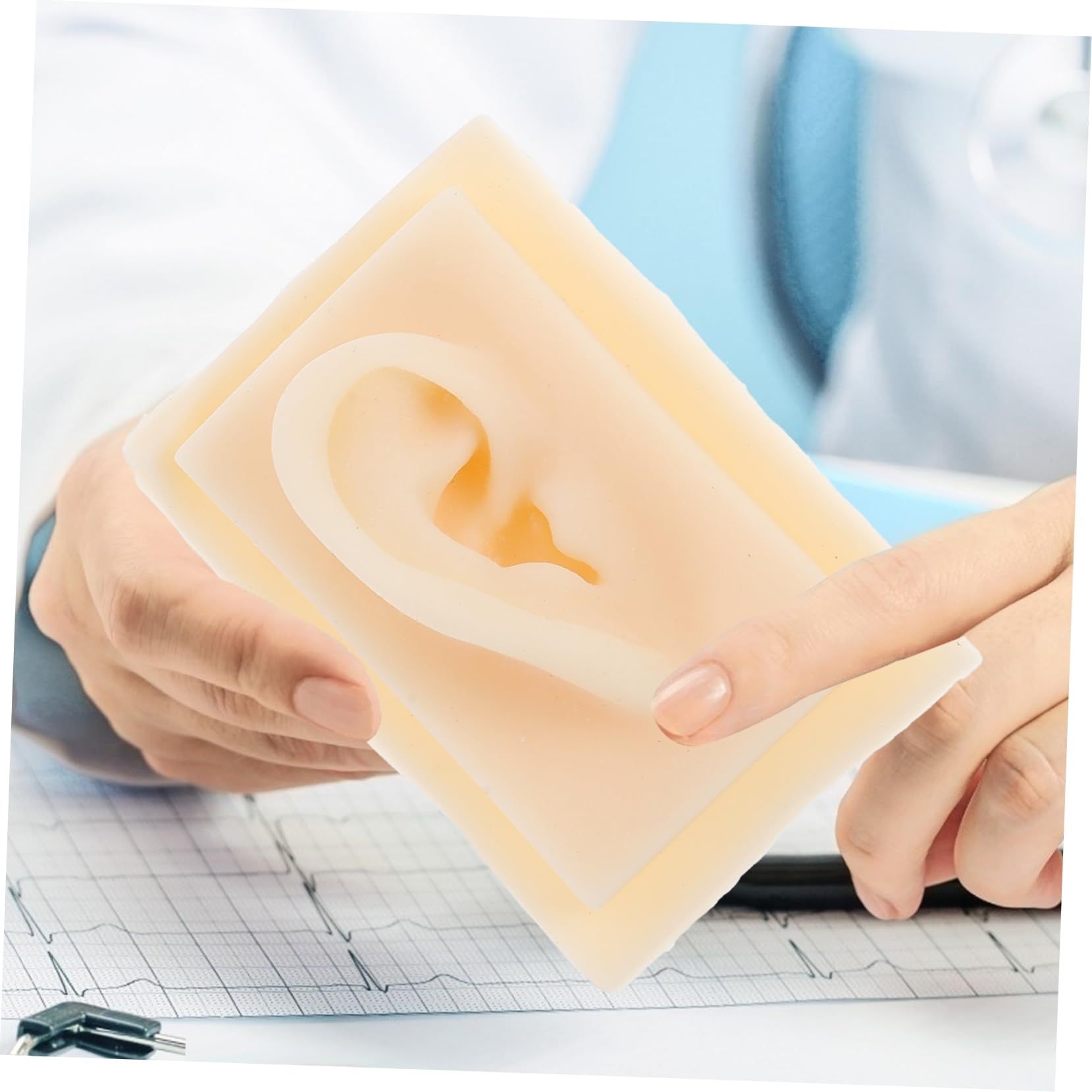 1 Pair Ear Model Manikin Ear Display Sample Display Tools for Ear Anatomy Model Portable Blender Science Teaching Tools Silicone