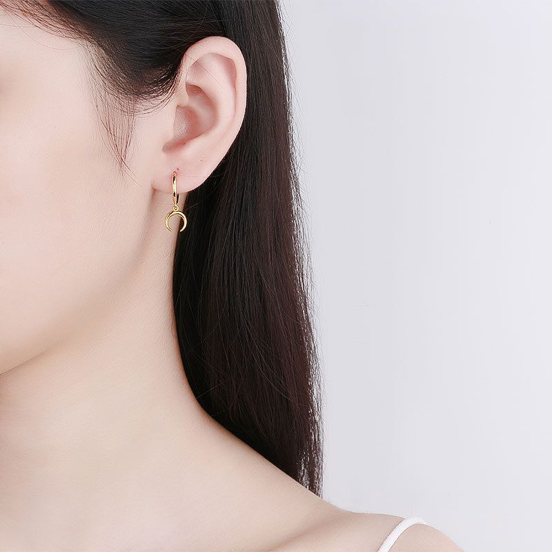 Dangle Earrings for Women, Small Hoop Earring with Charm - Moon Star, Spike, Evil Eye, Sterling（2 pcs）