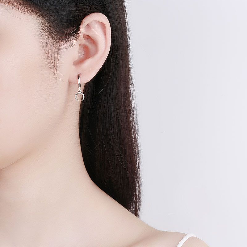 Dangle Earrings for Women, Small Hoop Earring with Charm - Moon Star, Spike, Evil Eye, Sterling（2 pcs）
