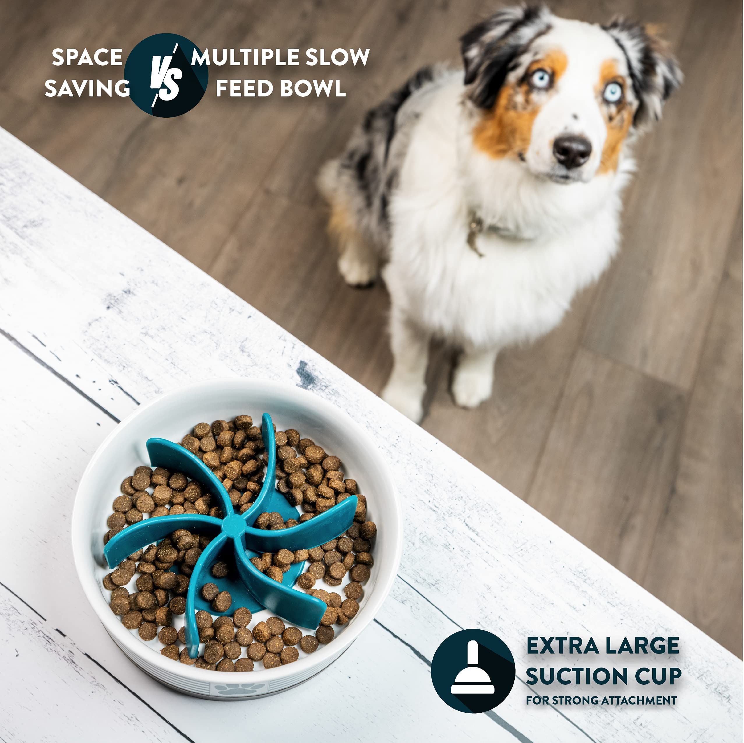 Spiral Slow Feeder Insert Slow Feeder Turn a Dog Bowl or Dog Dish into a Dog Bowl (Alternative to Dog Puzzle Feeder, Lick Mat