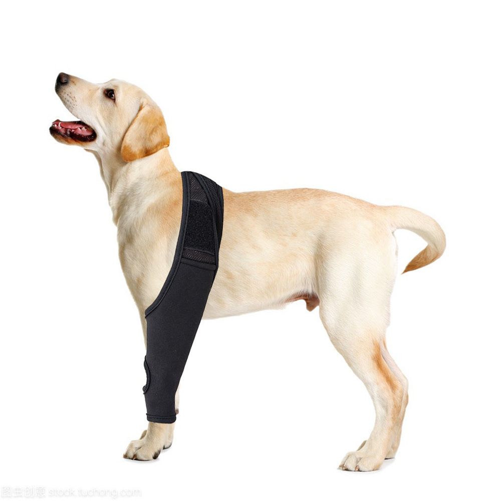 Dog Injured Leg Cover Pet Injury Leg Dog Leg Leg Sleeves Paw Dogs Lick Safe Puppy Knee Dog Bandages for Wounds Knee Pads M