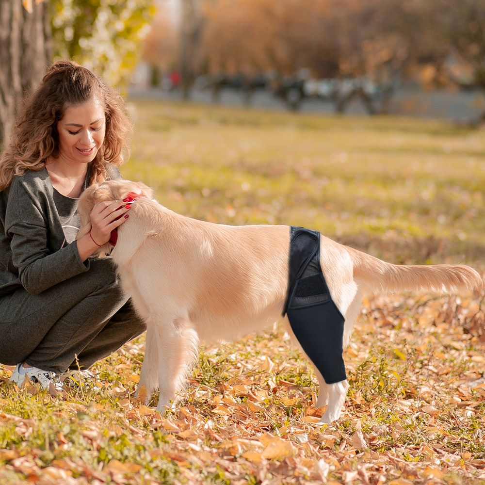 Dog Injured Leg Cover Pet Injury Leg Dog Leg Leg Sleeves Paw Dogs Lick Safe Puppy Knee Dog Bandages for Wounds Knee Pads M