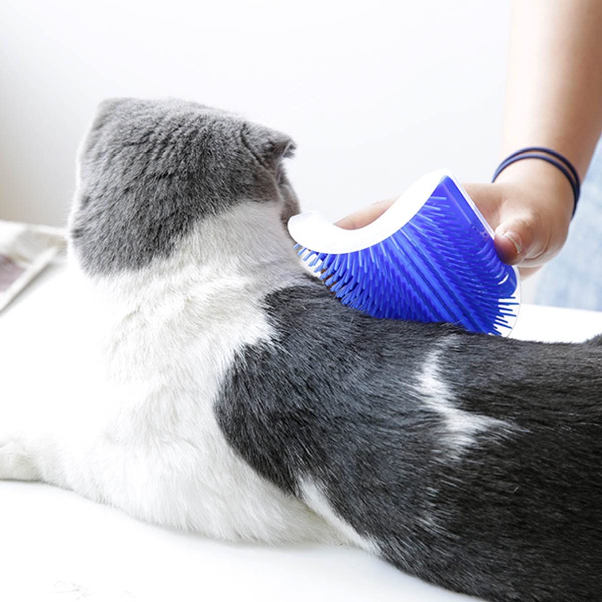 2 Pack Cat Corner Self Groomer with Catnip Wall Cat Groomer Cat Wall Brush Wall Corner Perfect Massage Comb Tool