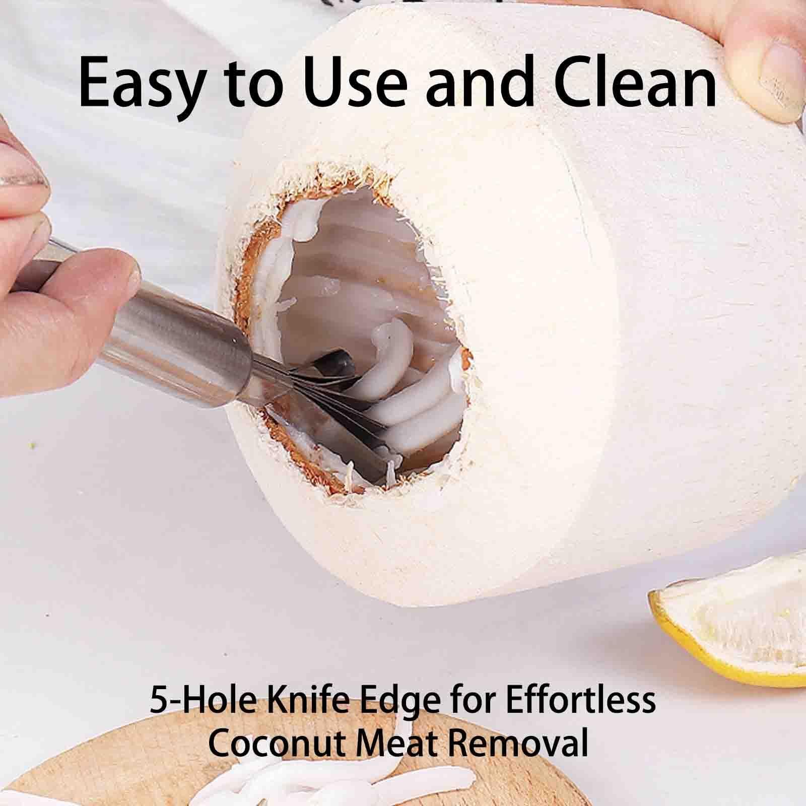 Stainless Steel Coconut Meat Removal Knife, Multi-Purpose Stainless steel planerMelon Craper Filipino Coconut Meat Scraper