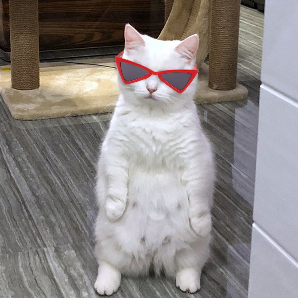 Small Pet Sunglasses,Triangle Cool Dog Sunglasses, Funny Doll Toy Glasses for Party Photo Cosplay Show(Sunglasses Red)
