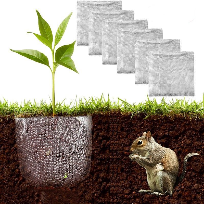 6 Pack 14 * 14 Inch Plant Root Guard Baskets,Stainless Steel Wire Baskets Protect Plant Roots, Control for Efficient Planting