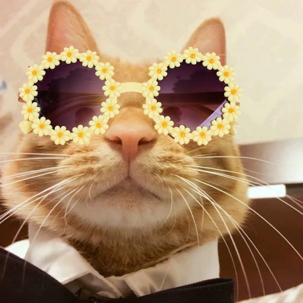 Dog Headband Dog Sunglasses,Cute Cat Headband Bow Pet Flower Sunglasses with Bow Headband for Pet Hair Accessories(Yellow)